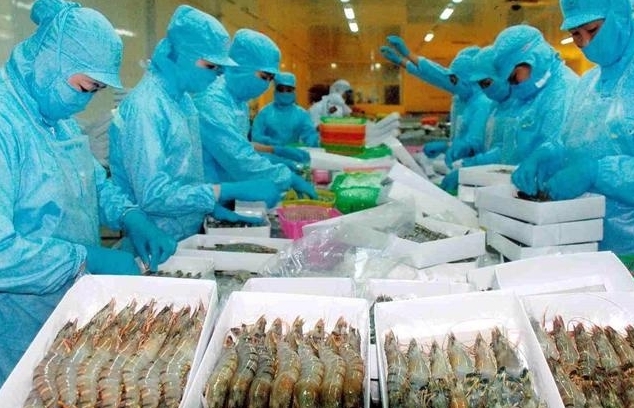 Seafood businesses effectively exploit tariff incentives from CPTPP