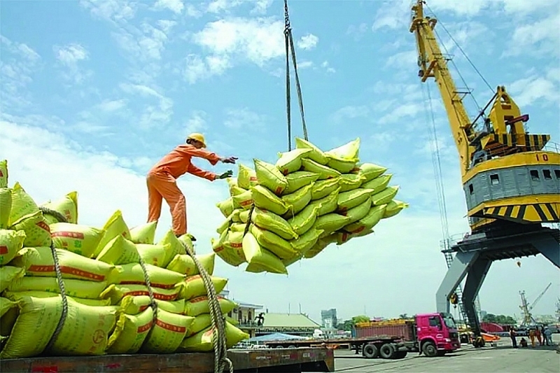 Vietnam's total rice export volume in 2023 will reach 8,131 million tons, worth nearly USD 4.7 billion.