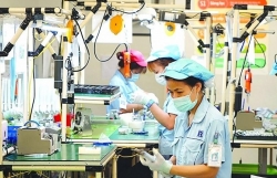 vietnams economy in 2024 positive prospects
