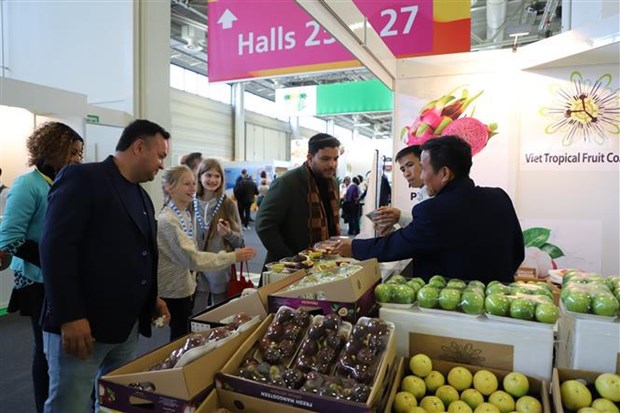 Vietnamese fruits promoted in Berlin exhibition hinh anh 1