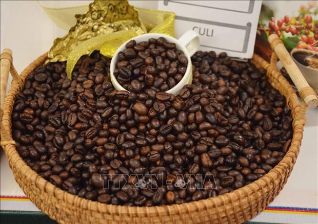 Vietnam’s coffee export value doubles in January hinh anh 1