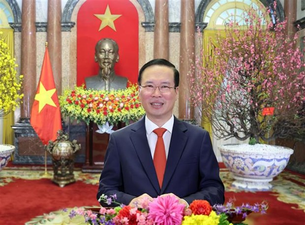 Lunar New Year greeting message by State President Vo Van Thuong hinh anh 1