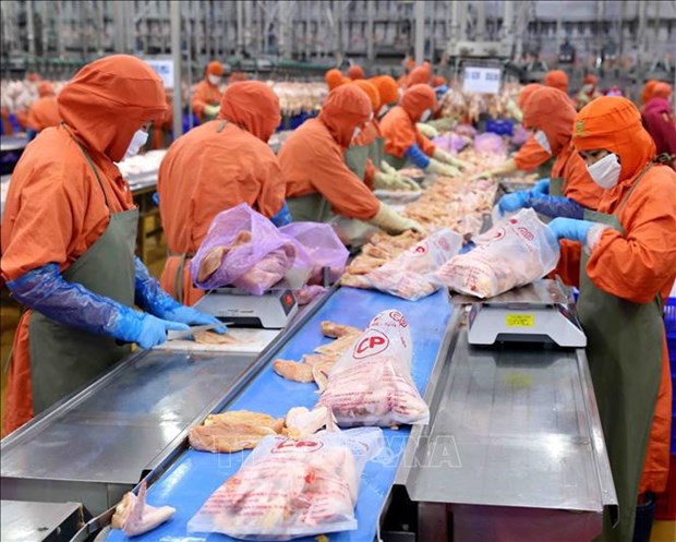 Vietnam’s agricultural exports to China expected to rise hinh anh 1