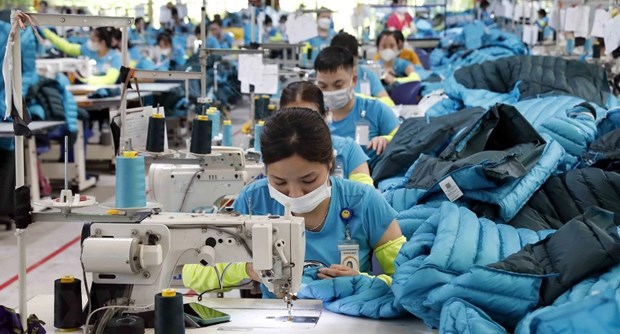 Optimistic signs seen in exports of garment-textile sector hinh anh 1