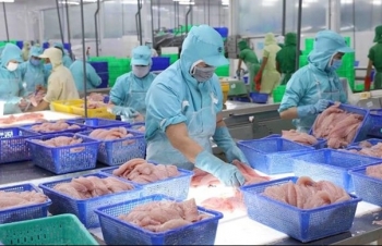 Vietnam"s aquatic product exports expected to recover in 2024