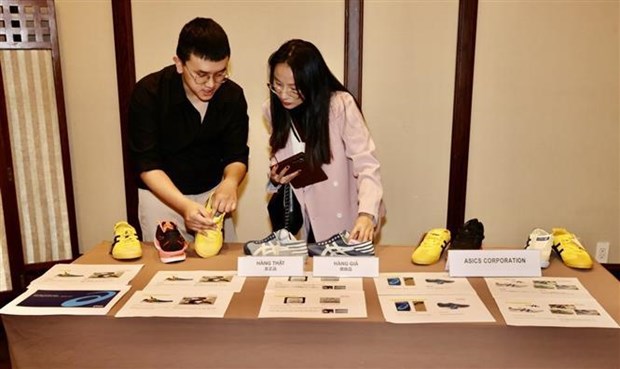 Vietnam, Japan cooperate in IP protection, counterfeit goods prevention hinh anh 1