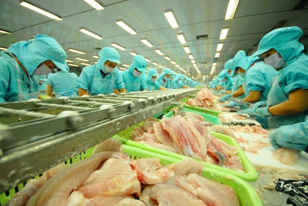 Tra fish leads Vietnam’s seafood exports to strong January growth hinh anh 1