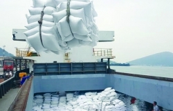 vietnam businesses seize more opportunity due to an additional rice import a of 16 million tons from indonesia