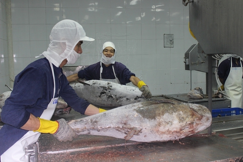 Seafood exporting enterprises have been cutting production costs and ramping up their export efforts since the beginning of the year. Photo: T.H.