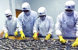Seafood exports are expected to recover in 2024