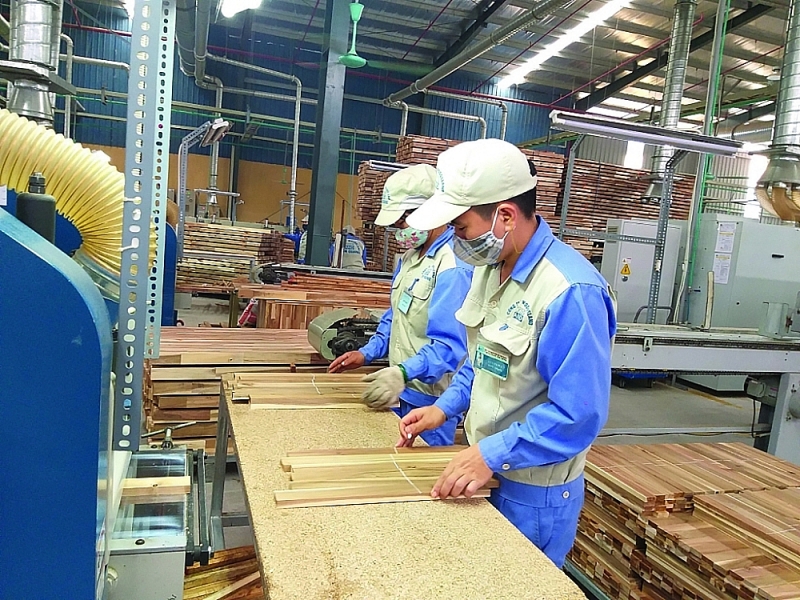 Vietnam wood have many chances to gain marketshare in the world furniture market. Photo: N.T