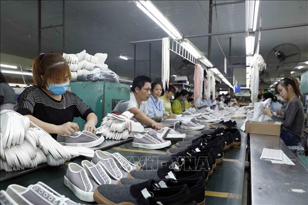 Leather, footwear sector takes step in right direction to increase exports hinh anh 1
