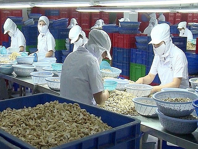 Vietnamese cashew enterprises have met the increasingly strict standards of the import market. Photo: S.T