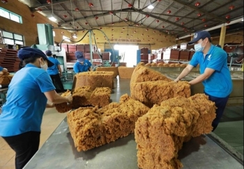 Vietnam earns 160 million USD from rubber exports in Feb