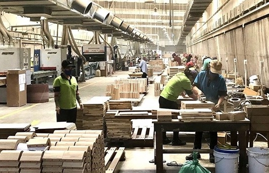 Connecting with FDI firms helps boost wood exports: insiders