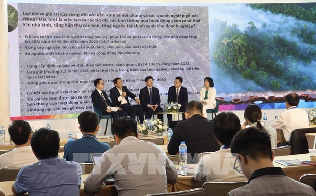 Wood industry has opportunities to increase revenue from carbon credits hinh anh 1