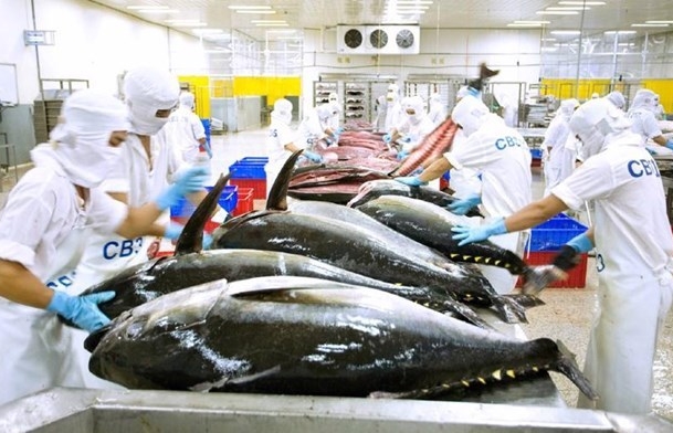 Vietnamese tuna products exported to 80 markets worldwide