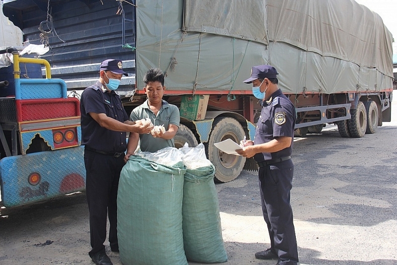 Officials of Dinh Ba Customs Sub-department (Dong Thap Customs Department) inspect imported palm sugar. Photo: T.H