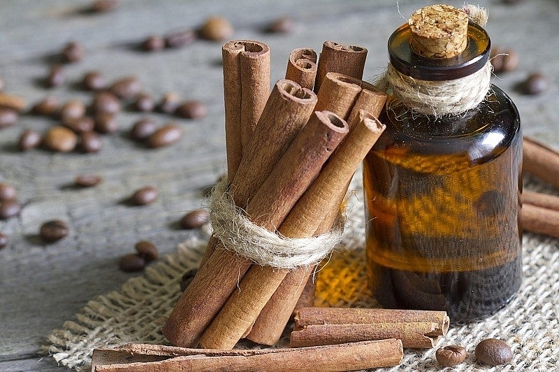 Difficulties in implementing some regulations of the Ministry of Health lead to difficulties in exporting cinnamon essential oil. Photo: Illustration