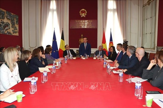 Cooperation with Vietnam among EU’s priorities in Indo-Pacific: official hinh anh 1