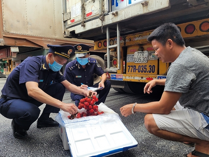 Tan Thanh Customs officials guide businesses to package exported lychee products according to standards. Photo: H.Nu