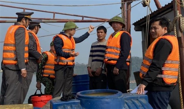 Government’s action programme cracks down on illegal fishing hinh anh 1