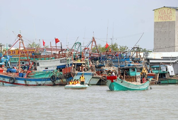 Government’s action programme cracks down on illegal fishing hinh anh 2