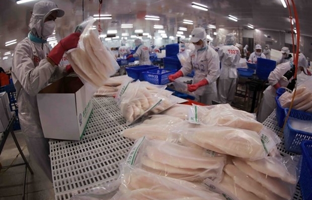 Tra fish export to UAE jumps 67% in Q1