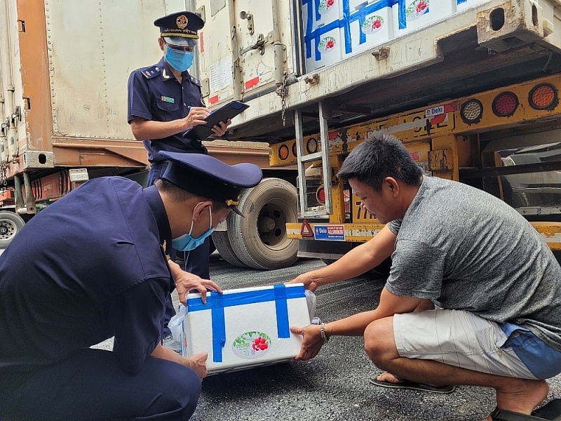 Tan Thanh Customs guides businesses to package agricultural products following partner regulations. Photo: H.Nụ