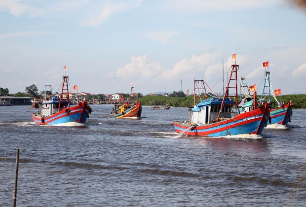 All-out efforts needed to get IUU yellow card removed: Minister hinh anh 2