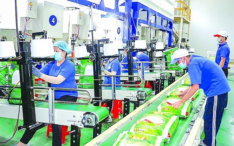 A rice packaging line for export to the European Union market of a Vietnamese enterprise.