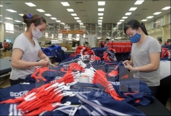 digital transformation optimal choice for vietnamese garment textile firms