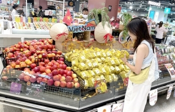 Ample room for Việt Nam-Thailand cooperation in new economic sectors: official