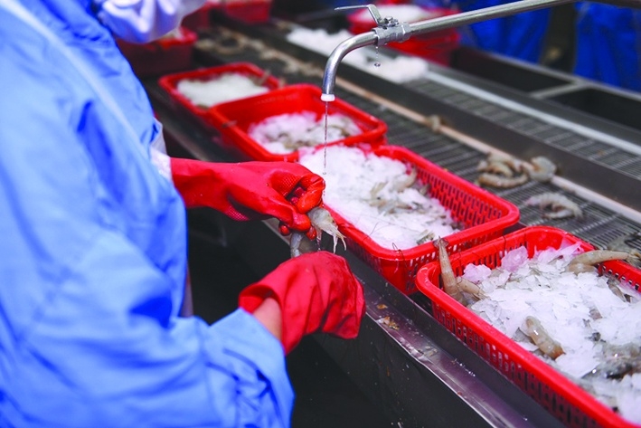 Seafood enterprises encounter problems with specialized inspection
