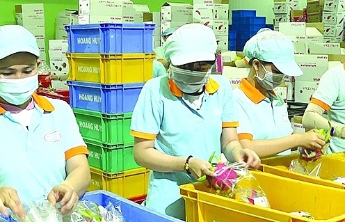 Ho Chi Minh City: Enterprises overcome difficulties, exports lead the country