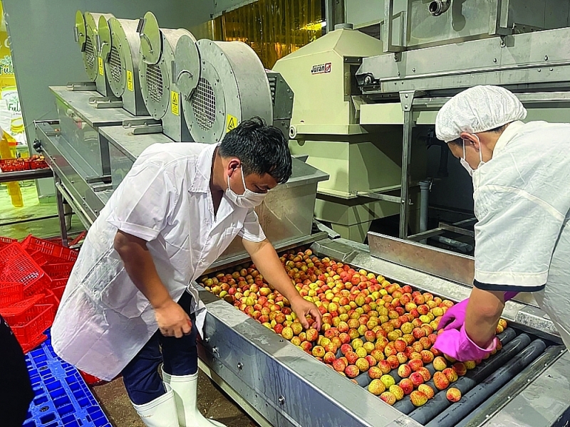 Vietnam's fruit and vegetable industry needs to continue to strongly shift its product structure towards increasing processed products and reducing exports of fresh products.