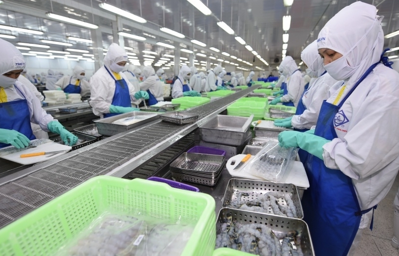 Fishery enterprises prioritize exporting value-added processed products