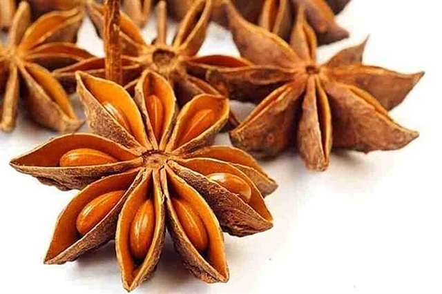 India as main market for Vietnamese star anise exports