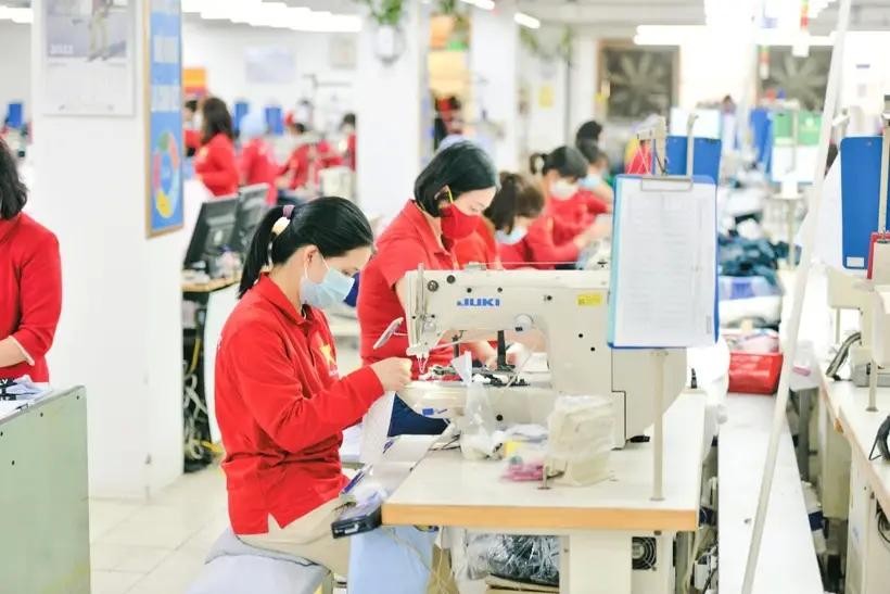 Experts recommend businesses maximise the potential of markets where Vietnam has signed Free Trade Agreements with (Photo: VNA)