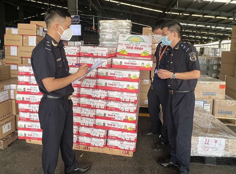 Tan Son Nhat customs officers carried out customs procedures for exporting mangoes by air. Photo: T.H