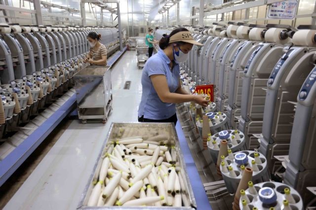 A fibre production plant in the central province of Ha Tinh (Photo: VNA)