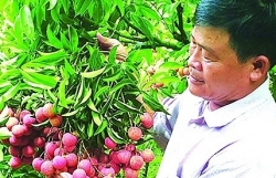 Priority is given to exporting seasonal agricultural products