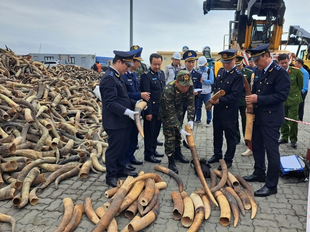 Vietnam Customs proactively launch Mekong Dragon Campaign phase 7