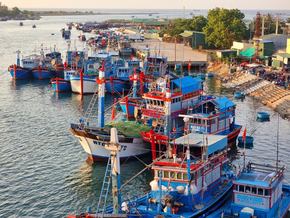 All of the fishing boats in Ninh Thuan province have sufficient documents proving their seaworthiness. (Photo: VNA)