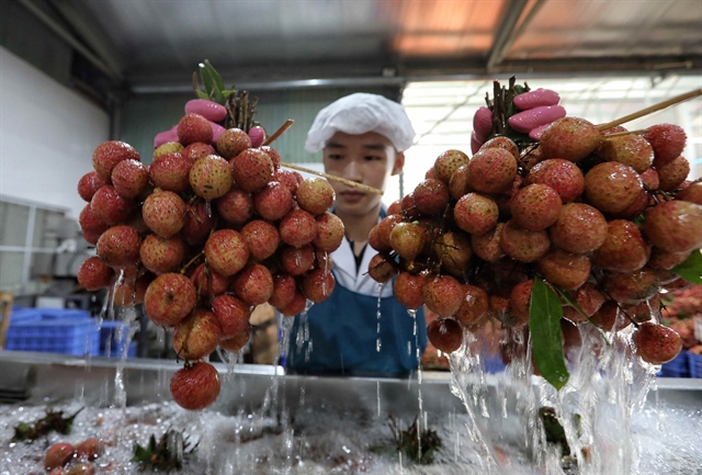 Experts stress the need to promote fruit sales, regulate export markets as peak season arrives