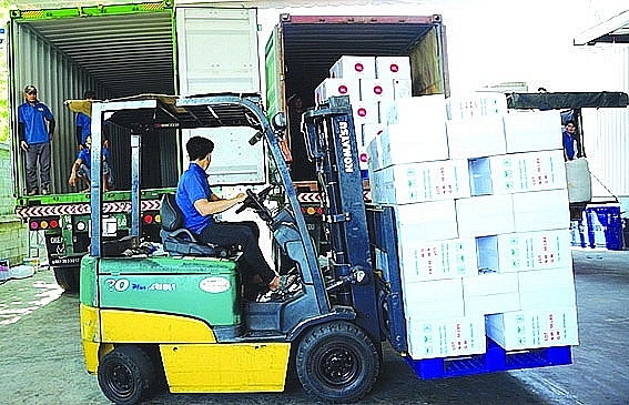 Packing containers of cashew nuts for export. Photo: K.T