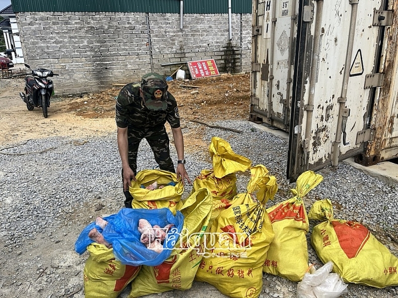 Chi Ma Customs Force inspected evidence of nearly 5.3 tons of pig feet seized on May 29. Photo: Bùi Quân