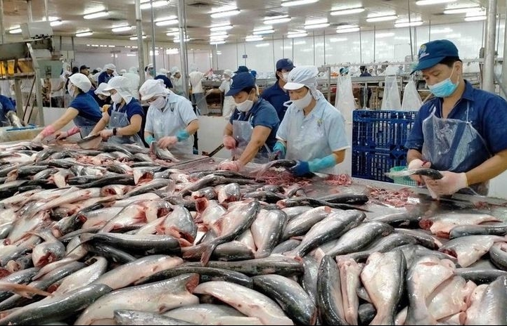 Vietnam’s fishery export likely to reach 4.4 billion USD in H1
