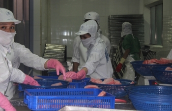 Many exported seafood products have experienced high growth