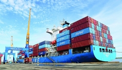 increasing orders exports continue to thrive in the first five months of the year